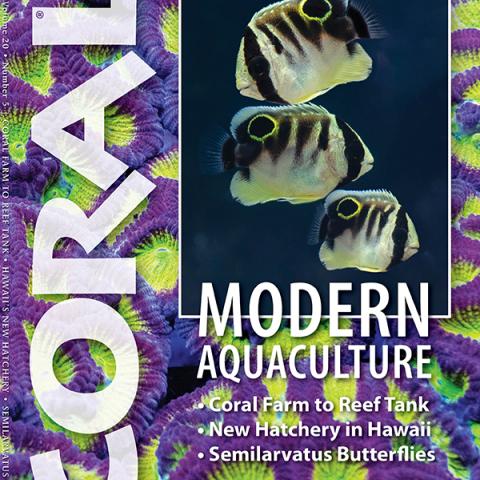 Coral magazine Sep-Oct 2023
