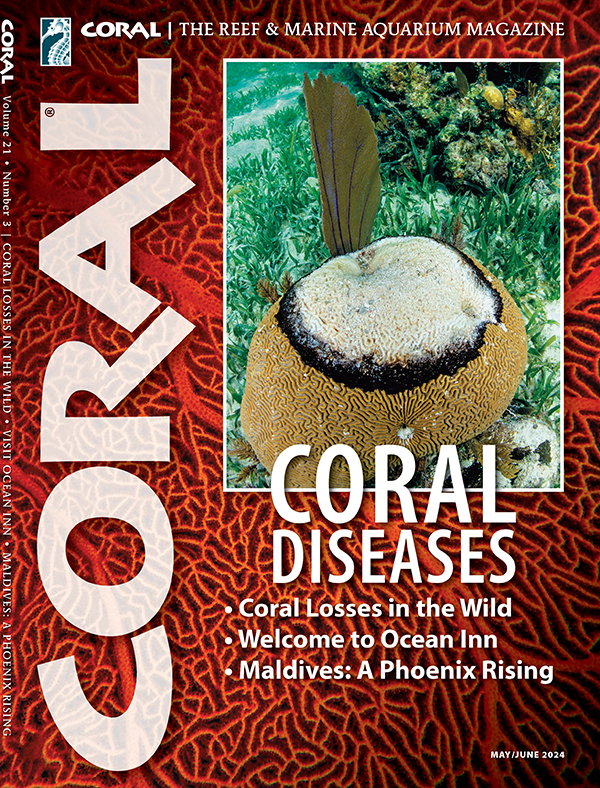 Coral magazine May-June 2024