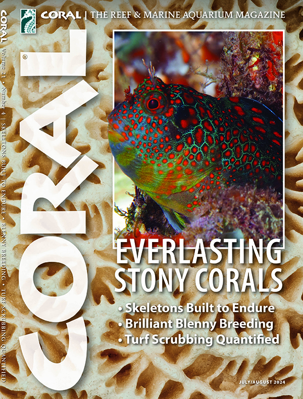 Coral Magazine July-August 2024