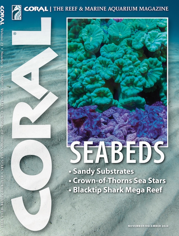 Coral Magazine November-December 2024