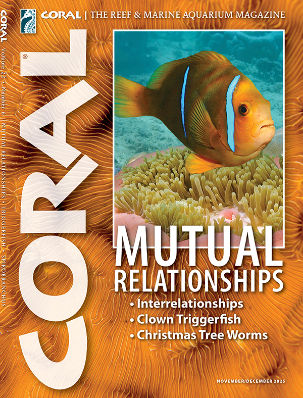 Coral Magazine November-December 2026