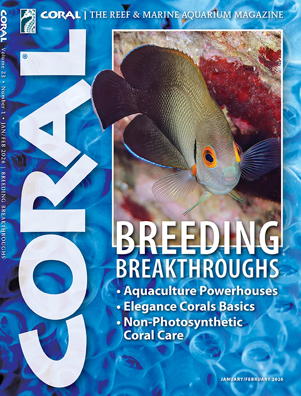 CORAL magazine Jan/Feb 2026