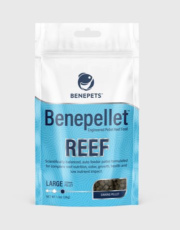 reef-large3.0