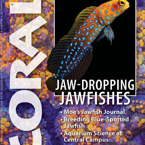 CORAL Magazine May-June 2025