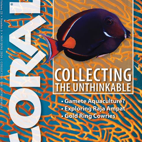 CORAL magazine May/June 2026