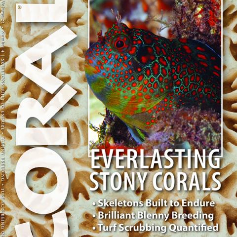Coral Magazine July-August 2024