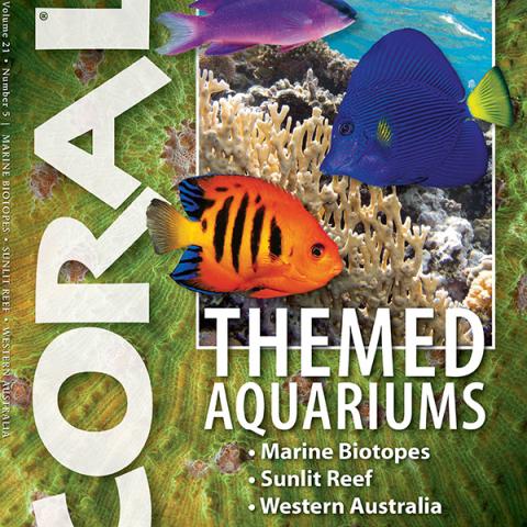 Coral Magazine September-October 2024