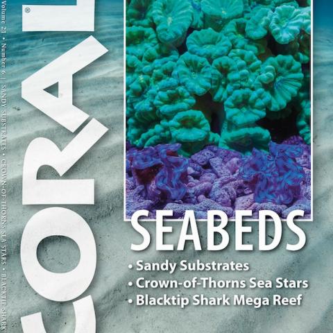 Coral Magazine November-December 2024