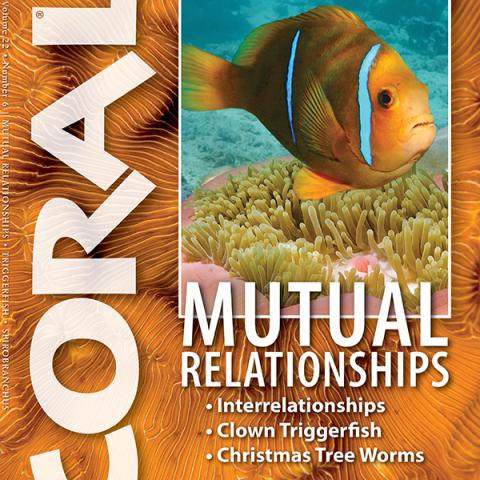 Coral Magazine November-December 2026