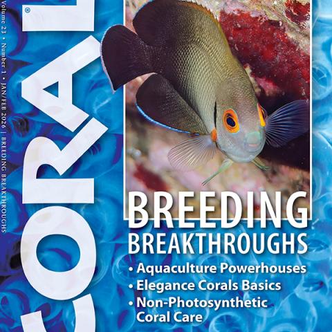 CORAL magazine Jan/Feb 2026