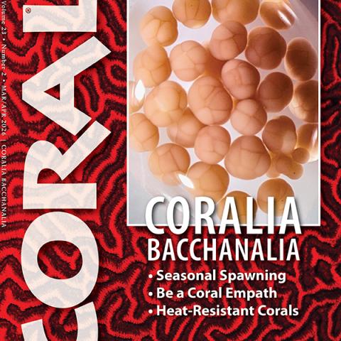 CORAL magazine March/April 2026