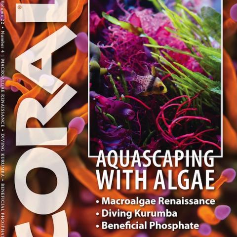 CORAL magazine July/August 2025