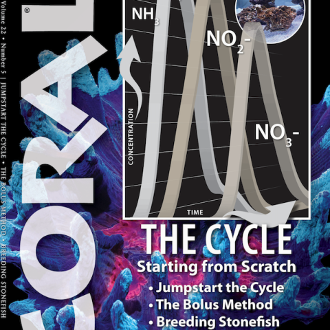 CORAL Magazine September/October 2025