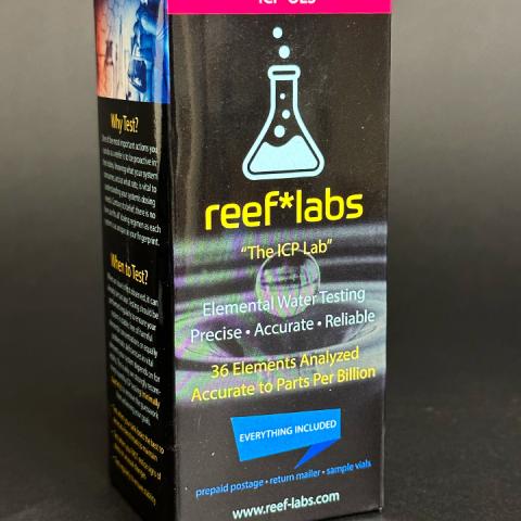 reeflabs-icp-a